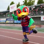 ファジ丸もアプリに夢中！団結してみんなで健康に！！